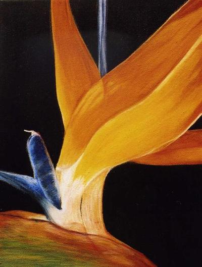 Bird of Paradise Revisited II by Sue Lassetter