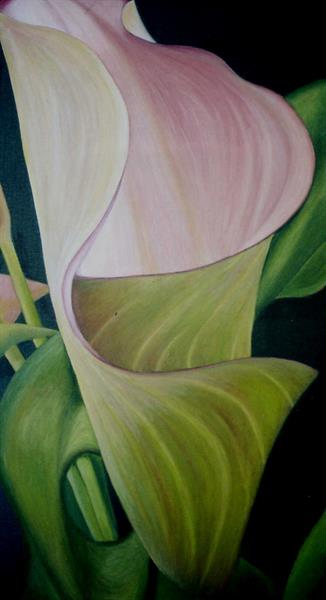 Cala Lily II by Sue Lassetter