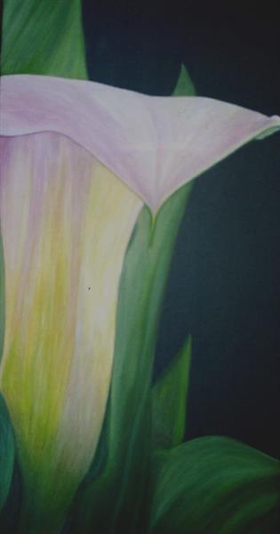 Cala Lily III by Sue Lassetter