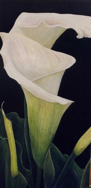 Cala Lily Revisited by Sue Lassetter