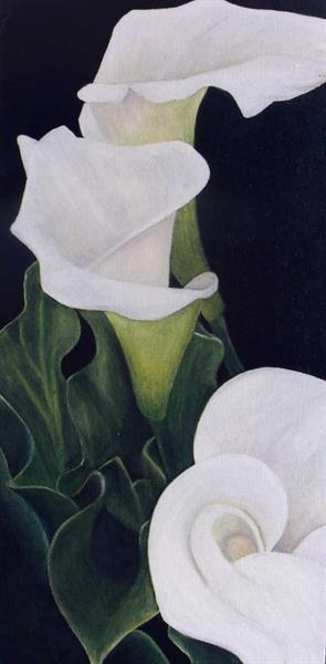 Cala Lily Revisited II by Sue Lassetter