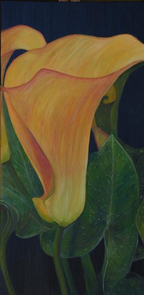 Golden Cala Lily by Sue Lassetter