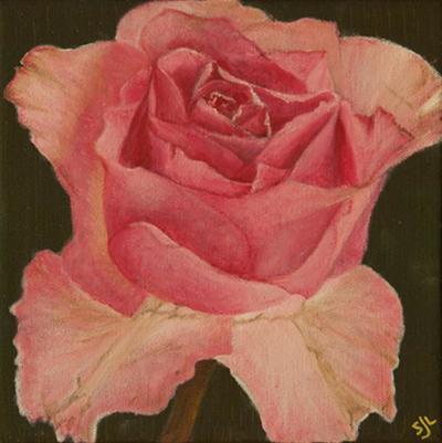 Pretty in Pink by Sue Lassetter